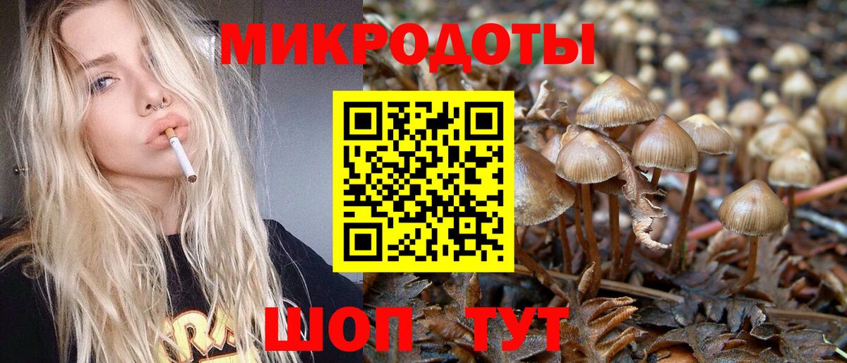 Галлюциногенные грибы Cubensis Узловая
