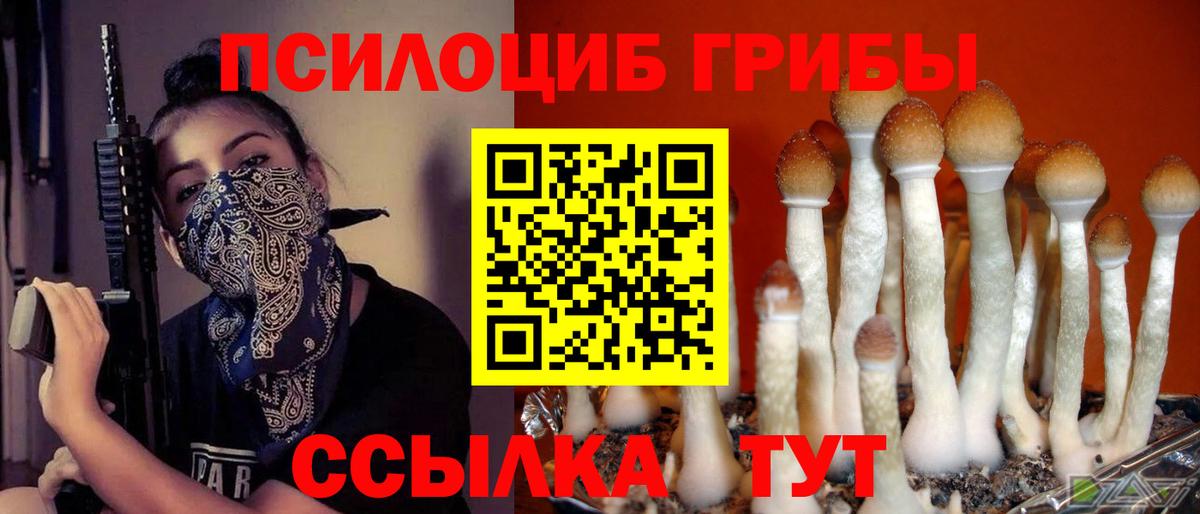 Псилоцибиновые грибы прущие грибы  Вход с VPN  Узловая 